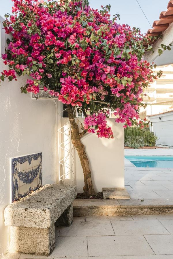 Casa De Ancora Villa Vila Praia de Ancora Luaran gambar